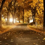 Beautiful-Wallpapers-3